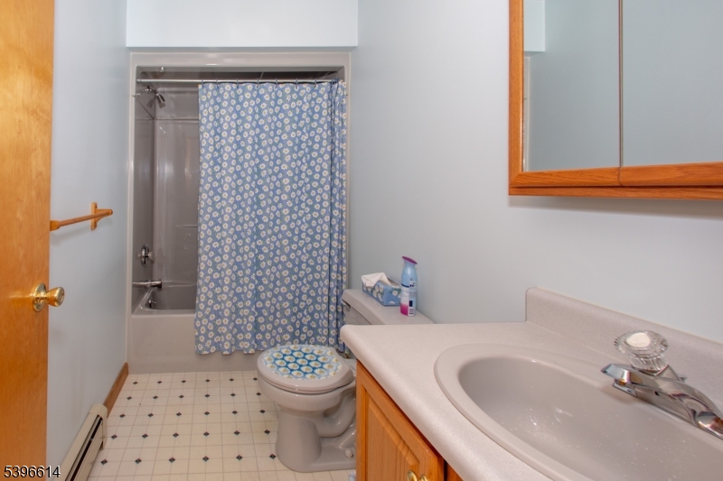171 Mt Salem Road Wantage, NJ 07461 - Photo 18 of 38 a bathroom with a sink a toilet and shower curtain