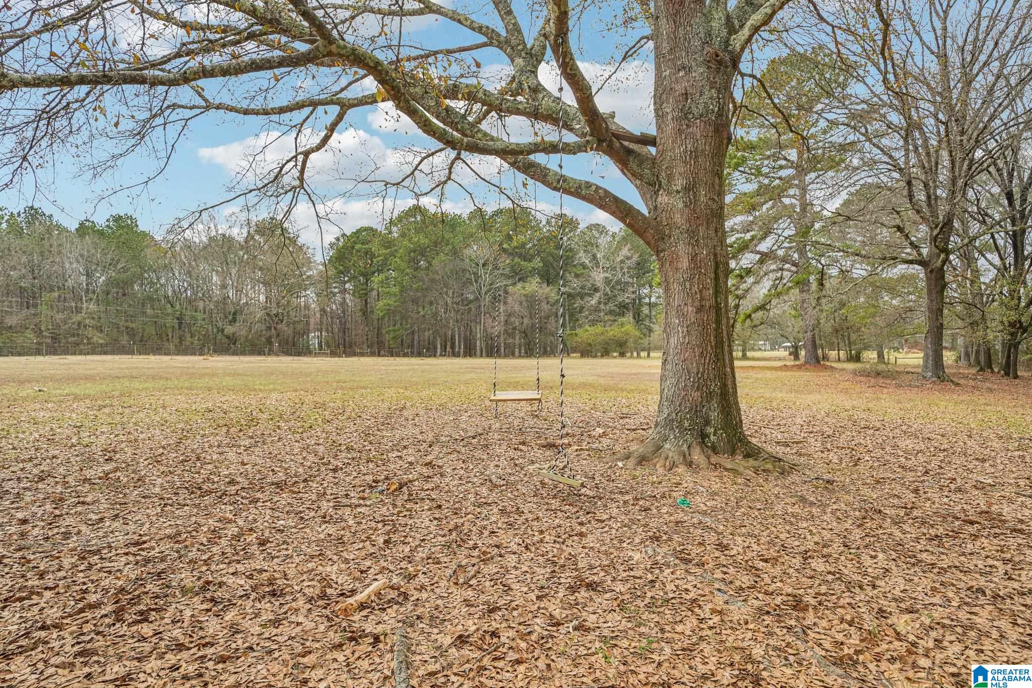 383 Country Church Road Harpersville, AL 35078 - Photo 4 of 72