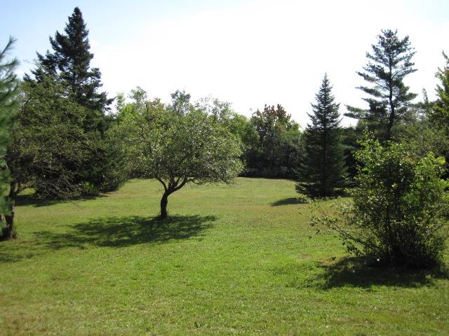 1559 Morey Hill Road Wolcott, VT 05680 - Photo 3 of 27