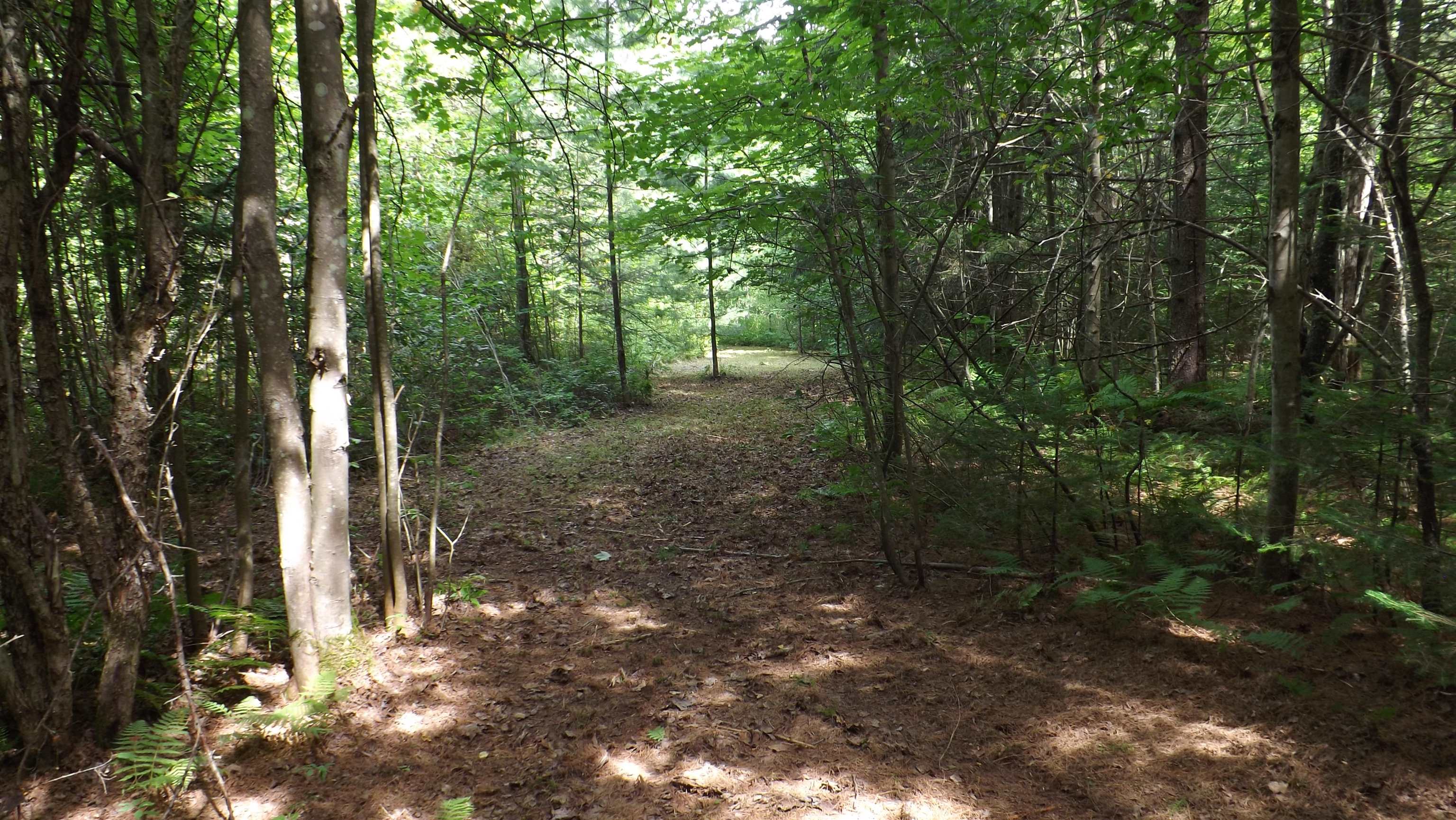 1559 Morey Hill Road Wolcott, VT 05680 - Photo 23 of 27