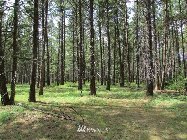 -xx Airport Road Cle Elum, WA 98922 - Photo 3 of 12 Gallery Image 3