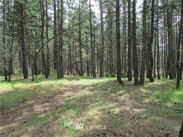 -xx Airport Road Cle Elum, WA 98922 - Photo 8 of 12 Gallery Image 8