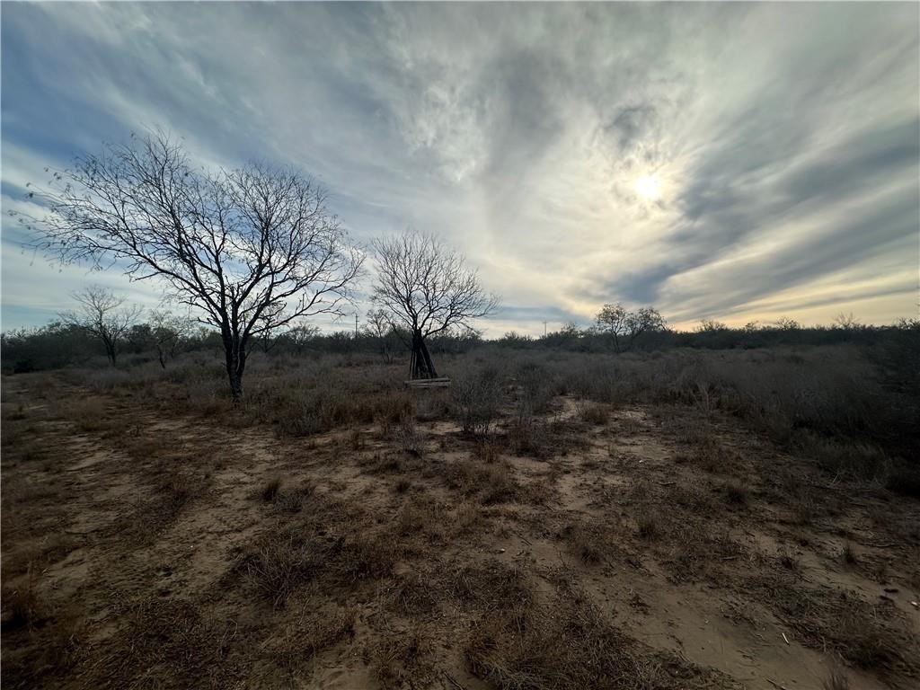 0 Highway 72 Three Rivers, TX 78071 - Photo 7 of 8 Gallery Image 7