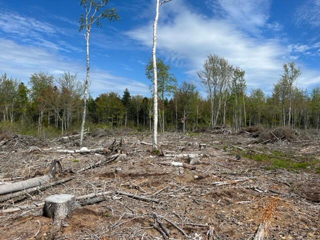 645 North Deer Isle Road Deer Isle, ME 04627 - Photo 8 of 11 Hutchins 2
