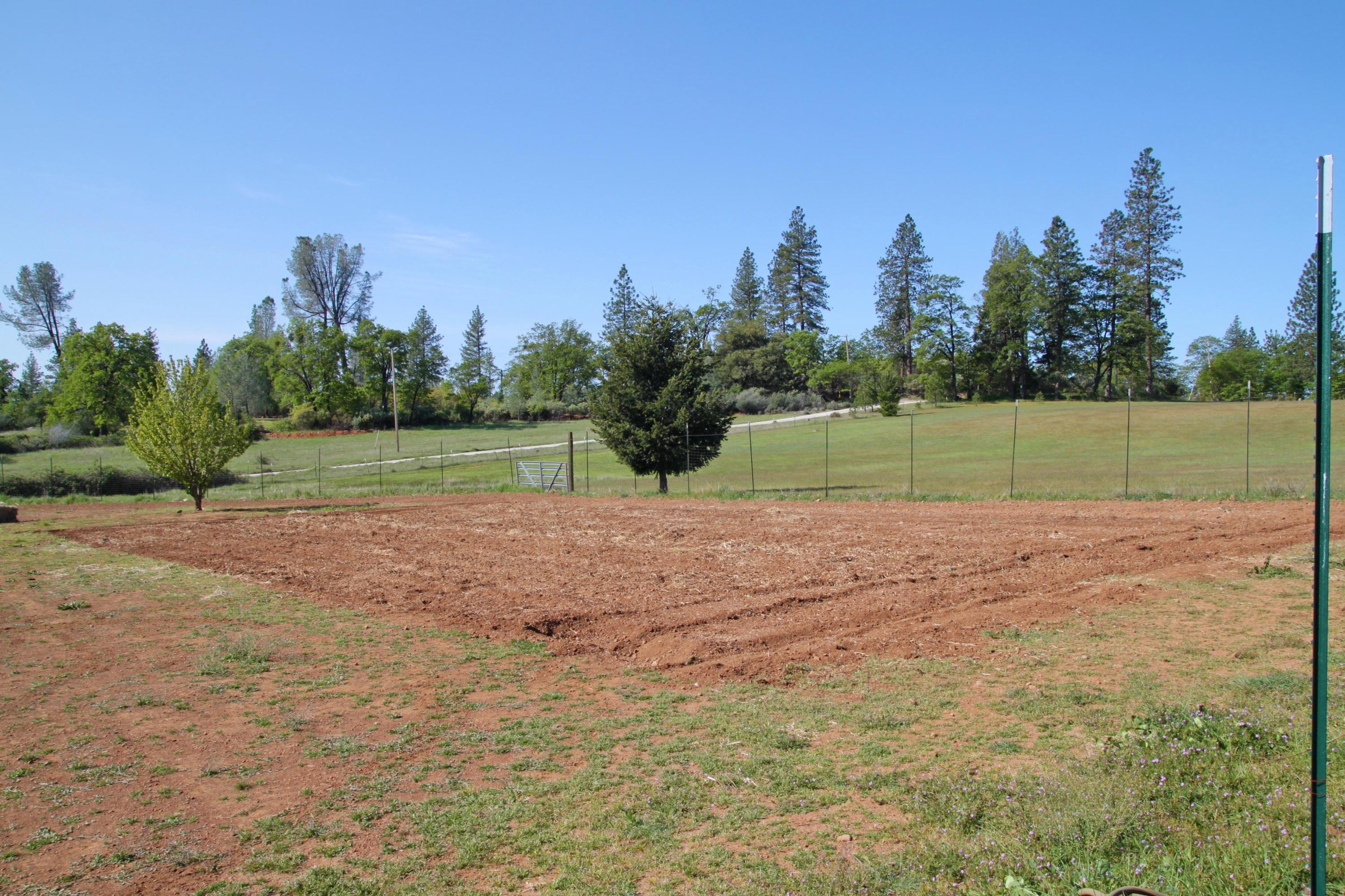 12499 Fern Road Whitmore, CA 96096 - Photo 14 of 27 a view of outdoor space