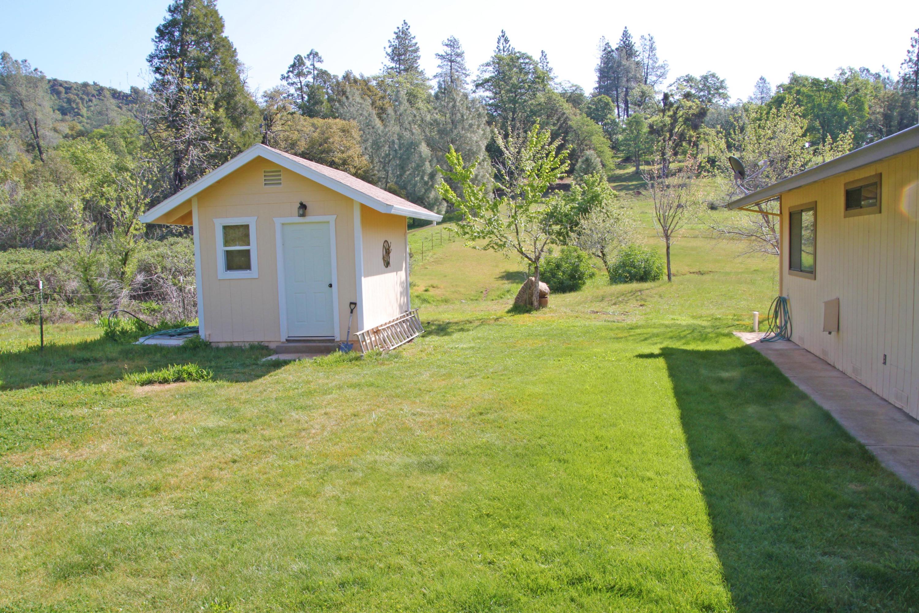 12499 Fern Road Whitmore, CA 96096 - Photo 3 of 27 a view of a backyard with large trees and plants