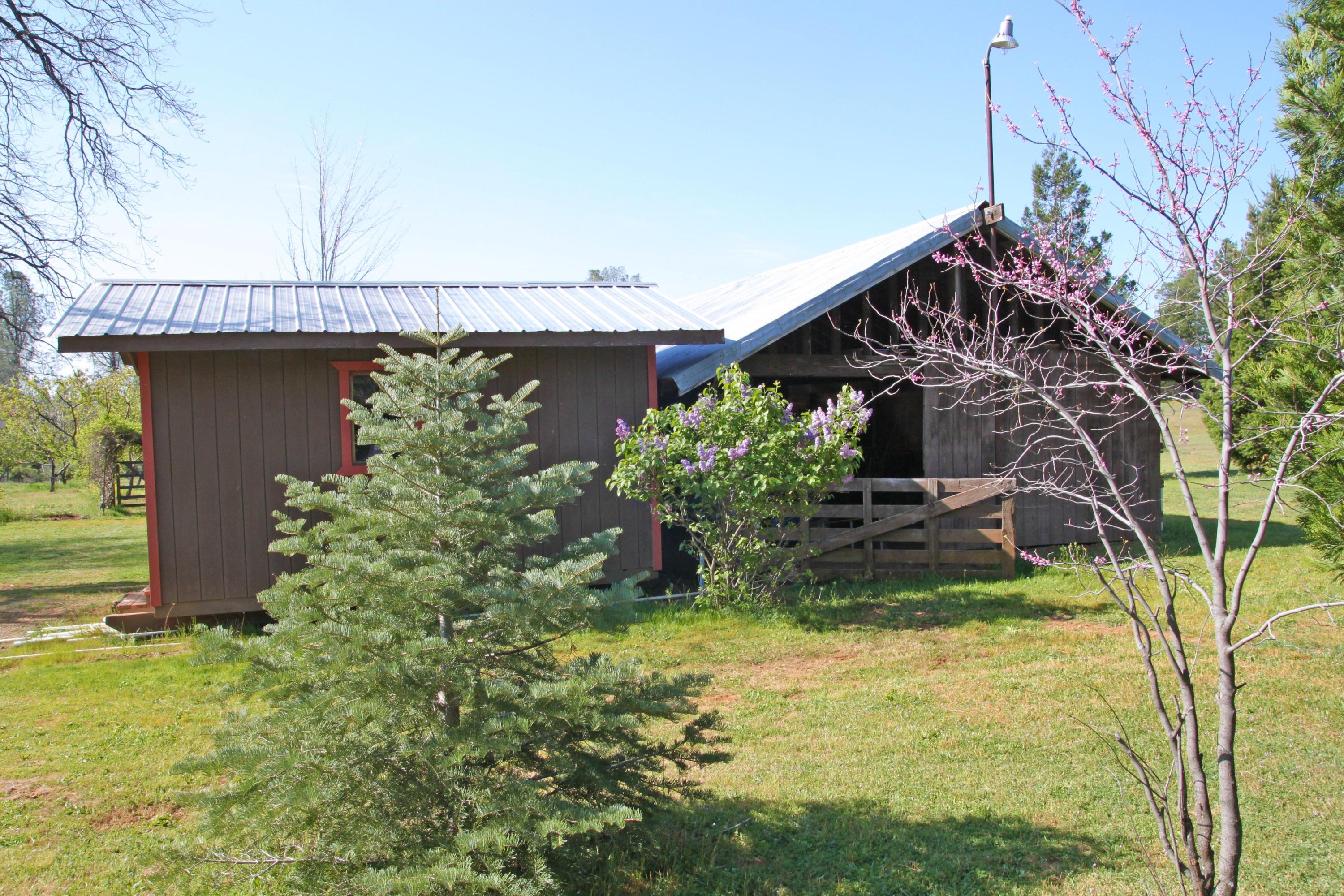 12499 Fern Road Whitmore, CA 96096 - Photo 9 of 27 a view of a house with a yard and potted plants