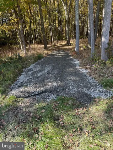 a view of outdoor space with trees
