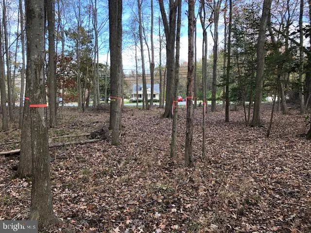 a view of outdoor space with lots of green space