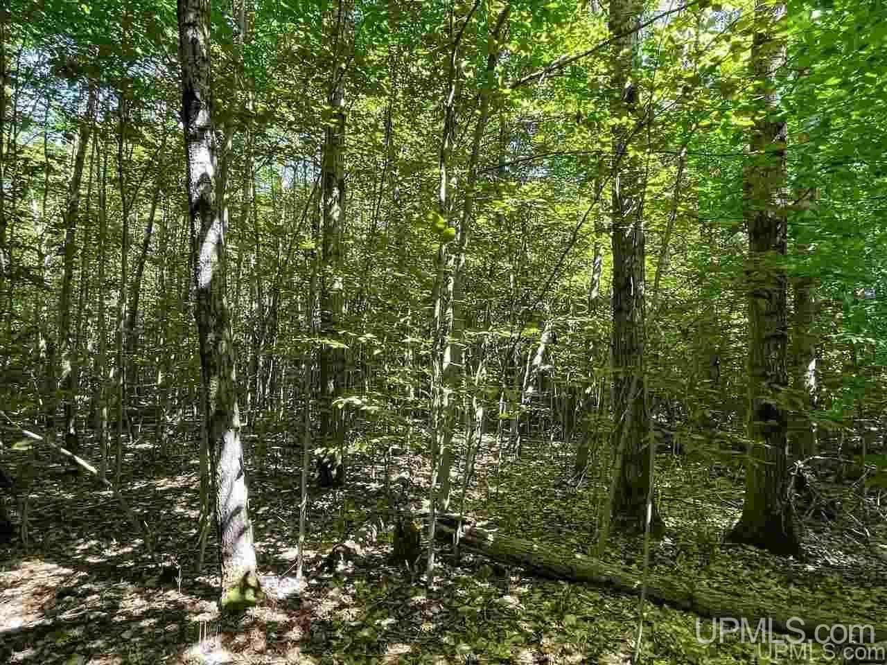 220 W Ford Lake Road Germfask, MI 49836 - Photo 21 of 26