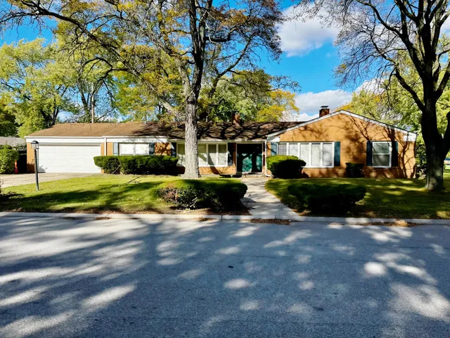 a view of a yard with plants and a large tree