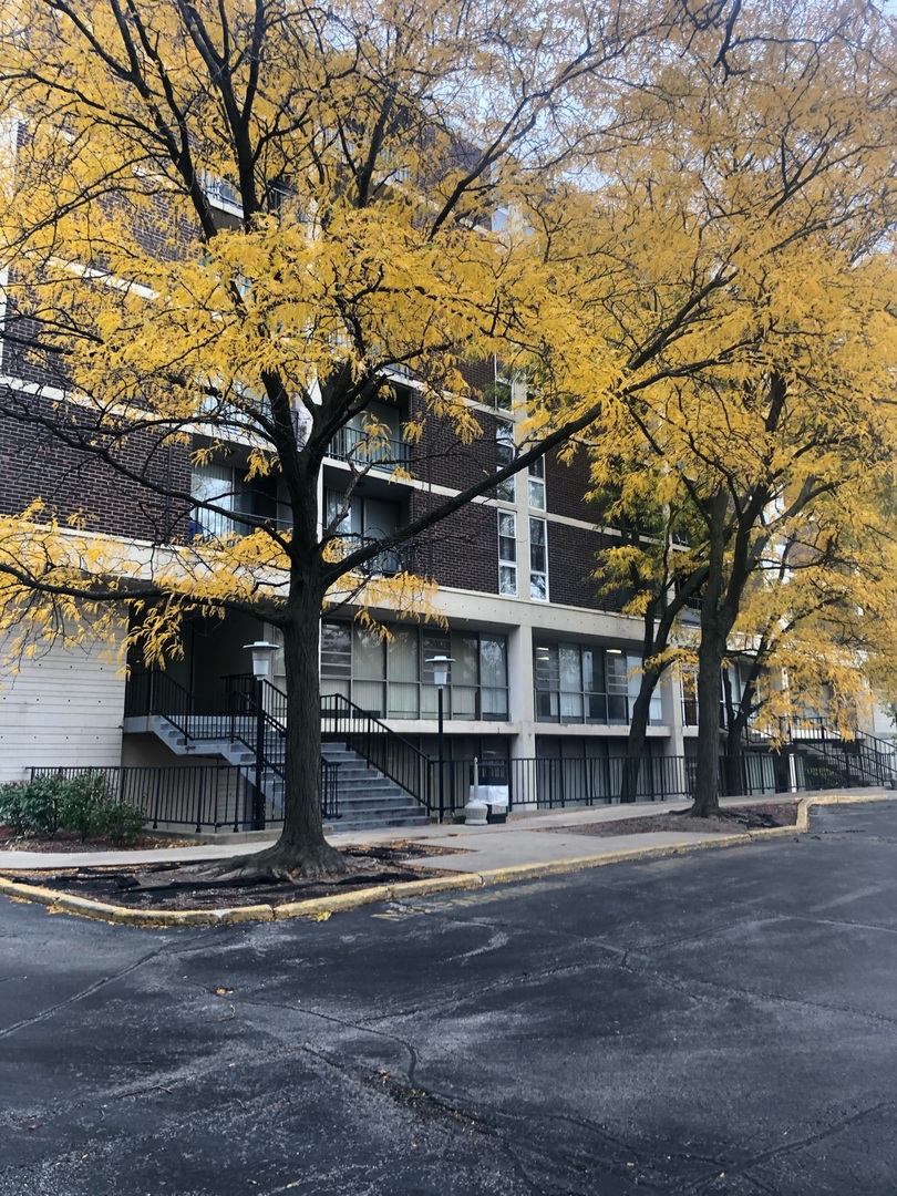 1043 South York Road, Unit 407 Bensenville, IL 60106 - Photo 1 of 7