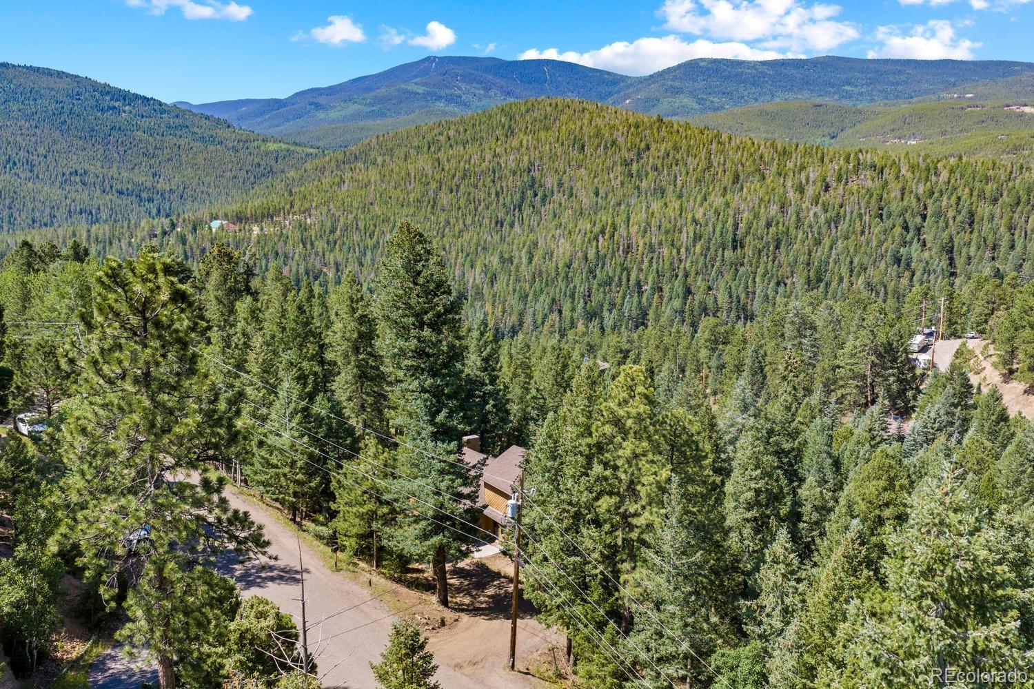 32638 Little Cub Road Evergreen, CO 80439 - Photo 38 of 39