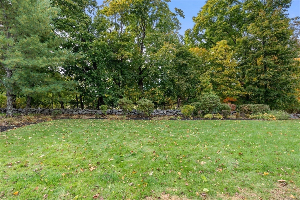 809 Boston Post Road, Unit B Weston, MA 02493 - Photo 34 of 39 a view of yard with green space