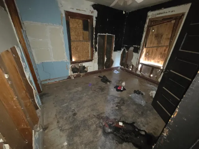 a view of a yard with street