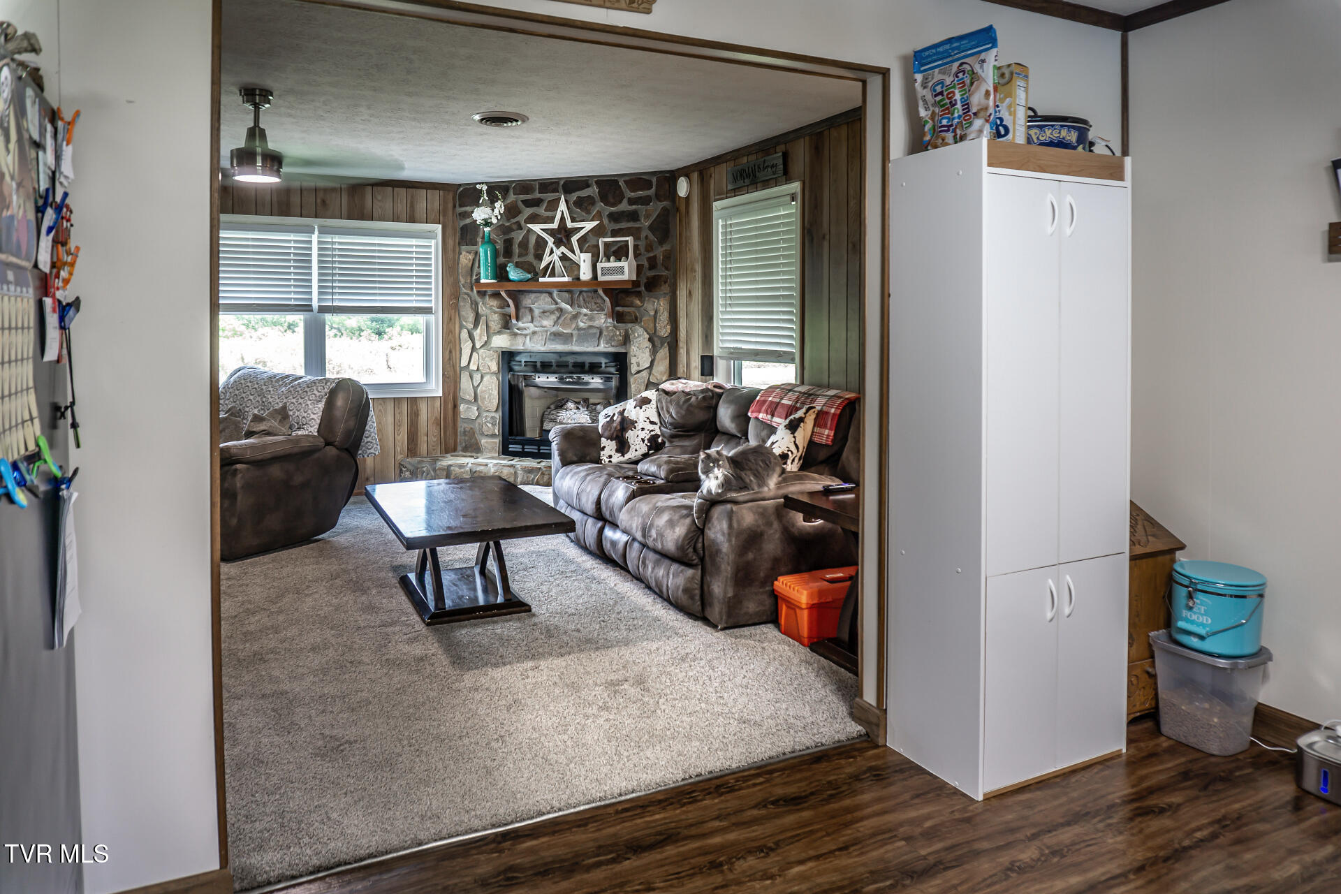 1145 Ricker Road Greeneville, TN 37743 - Photo 22 of 53 1145RickerG_010