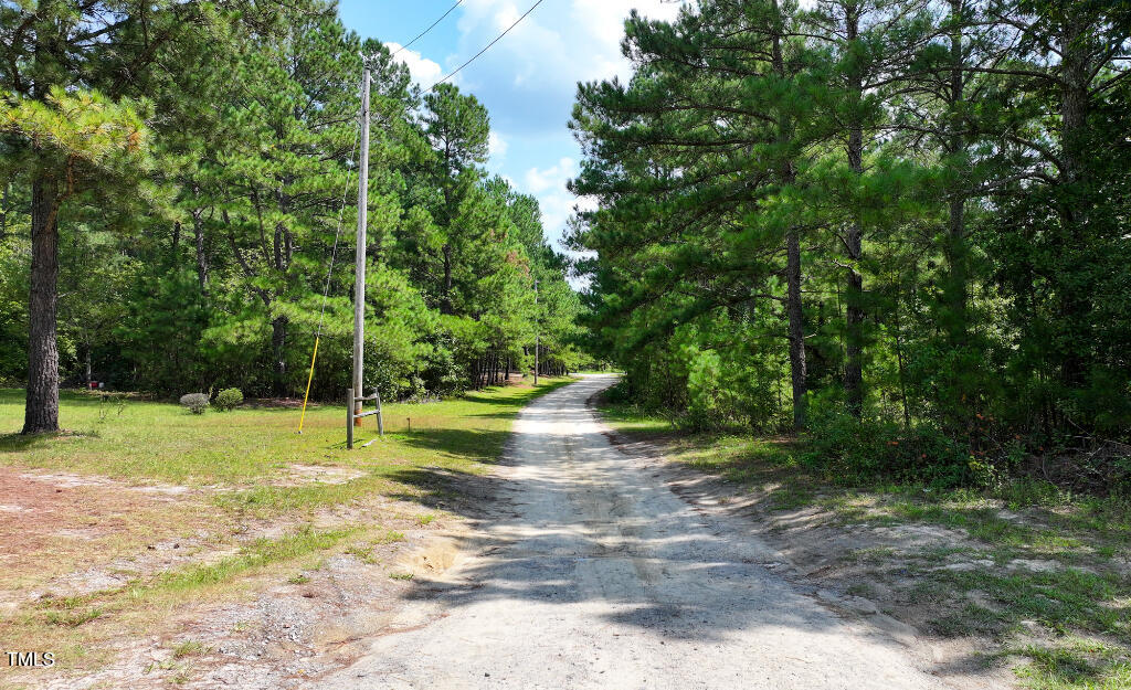 0 Black Road Cameron, NC 28326 - Photo 12 of 14 11