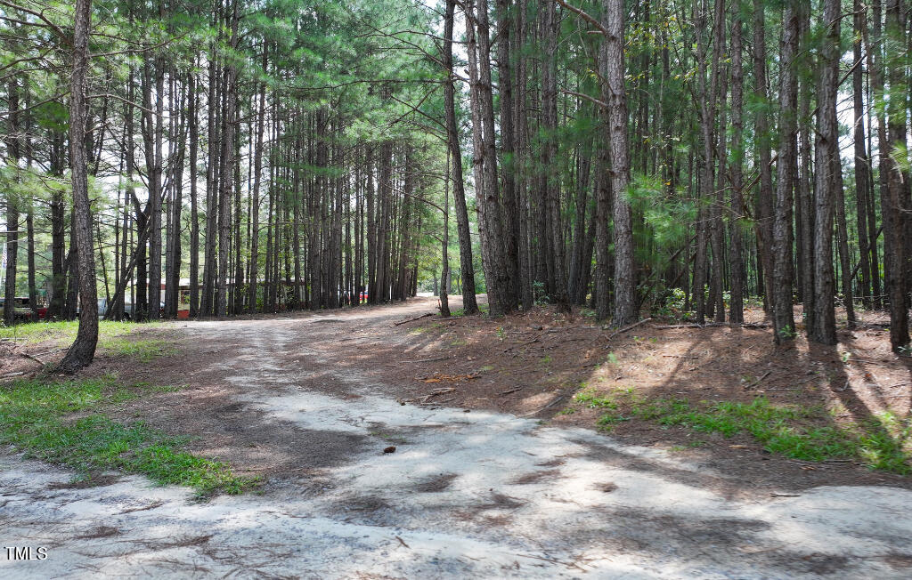 0 Black Road Cameron, NC 28326 - Photo 13 of 14 12