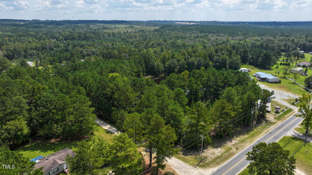 0 Black Road Cameron, NC 28326 - Photo 5 of 14 04
