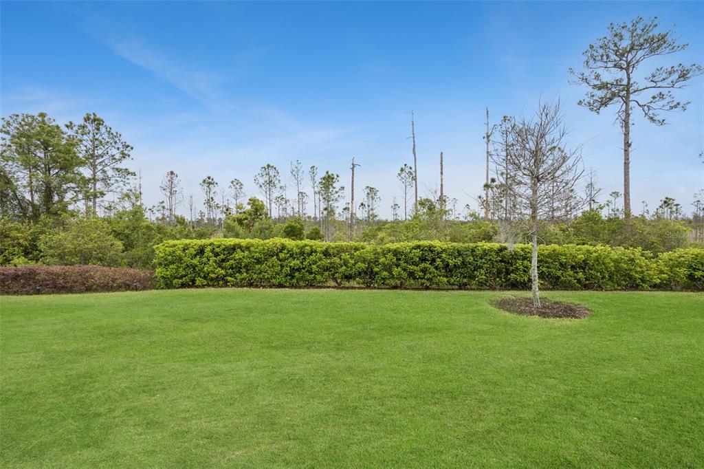 2749 Cherry Blossom Loop St. Cloud, FL 34771 - Photo 33 of 49