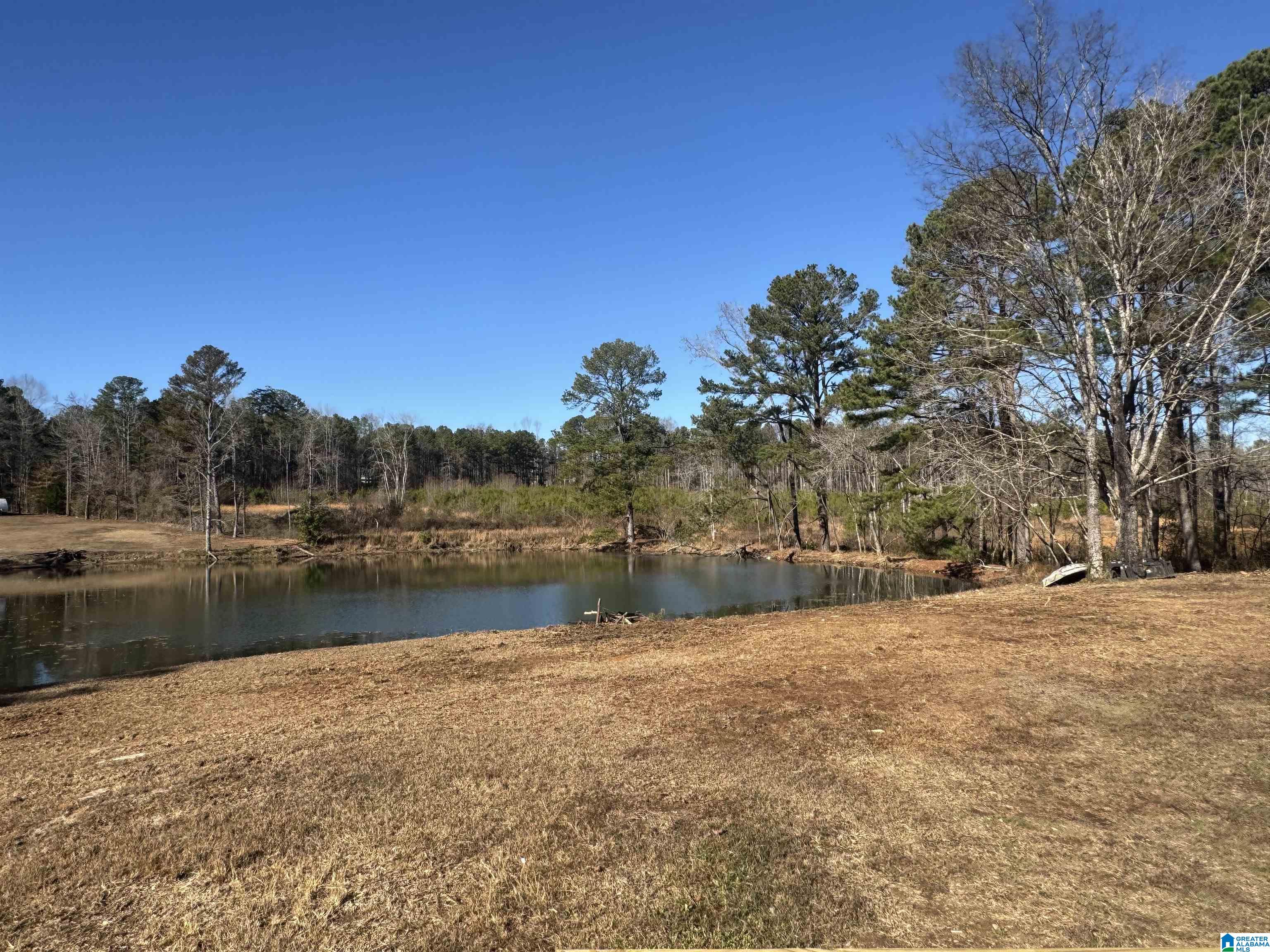645 Skyview Lake Road Warrior, AL 35180 - Photo 7 of 53