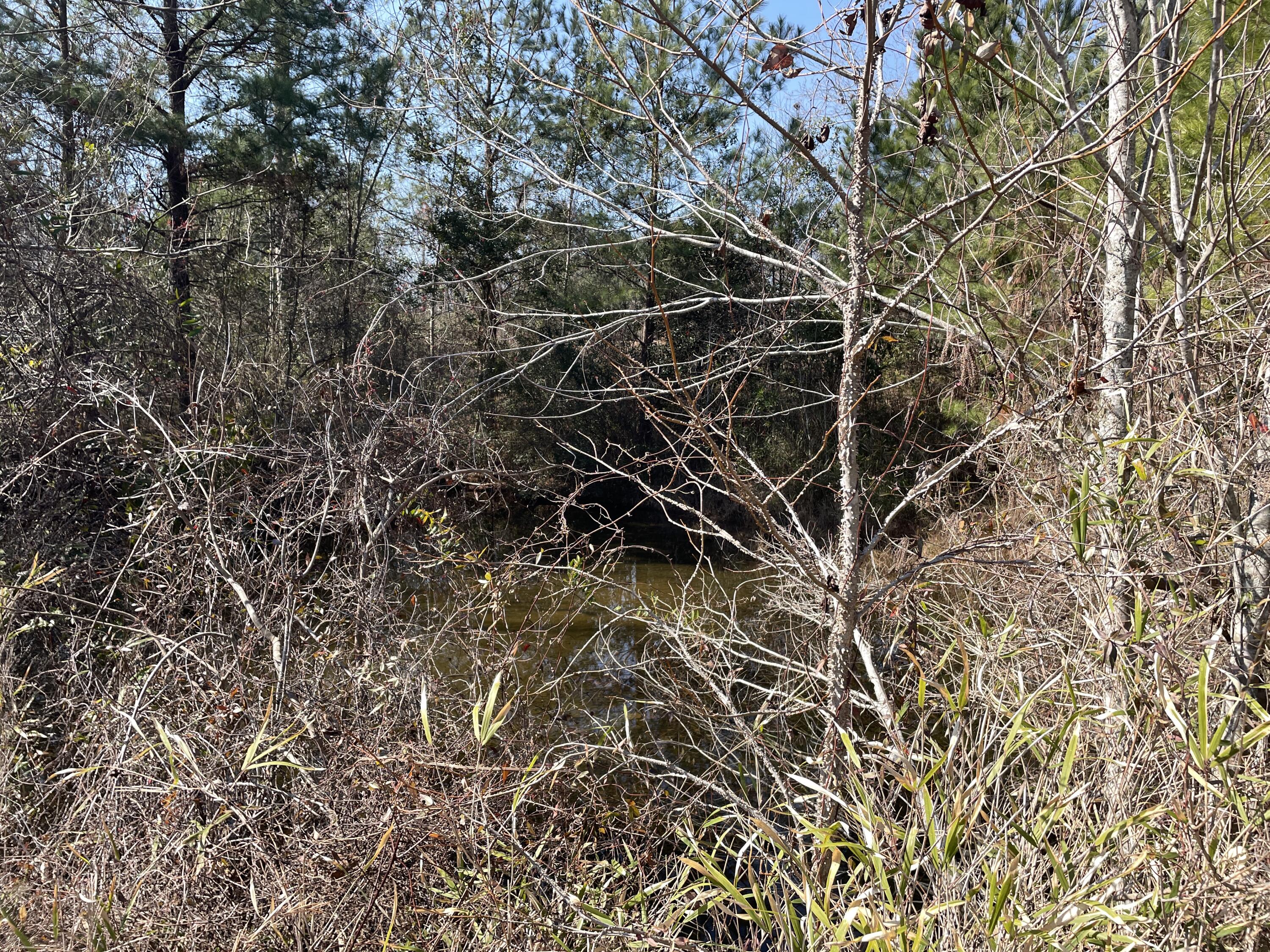 173 Wilderness Road Aiken, SC 29805 - Photo 41 of 50