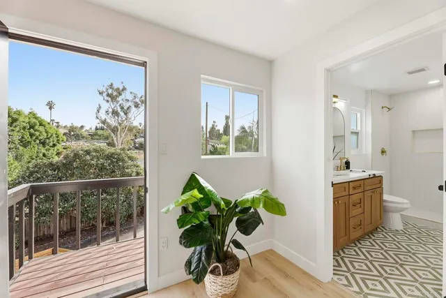 a view of a flower pot and a potted plant