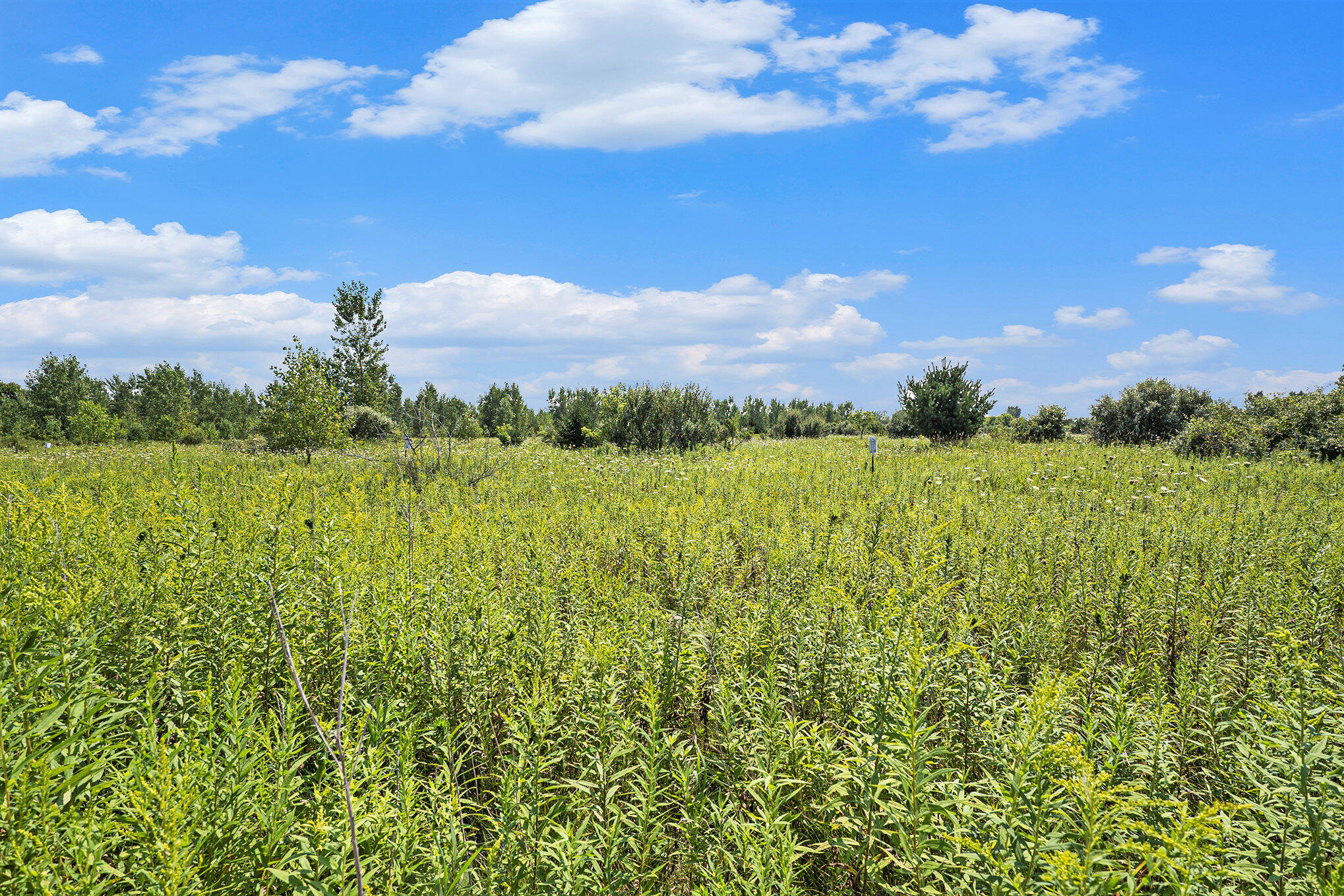 38 A Maloney Road Pinconning, MI 48650 - Photo 14 of 27 013_dsc08200_944