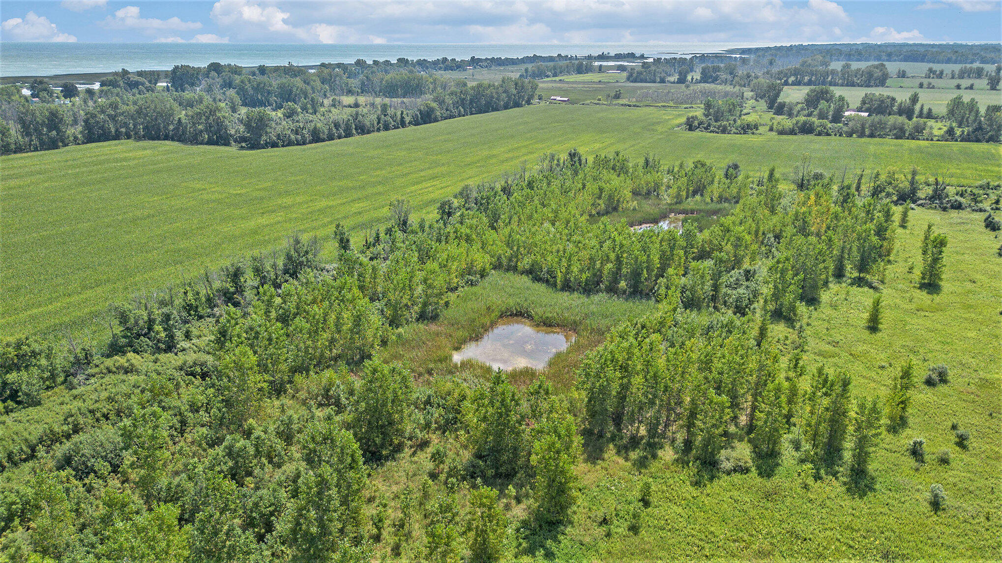 38 A Maloney Road Pinconning, MI 48650 - Photo 8 of 27 8
