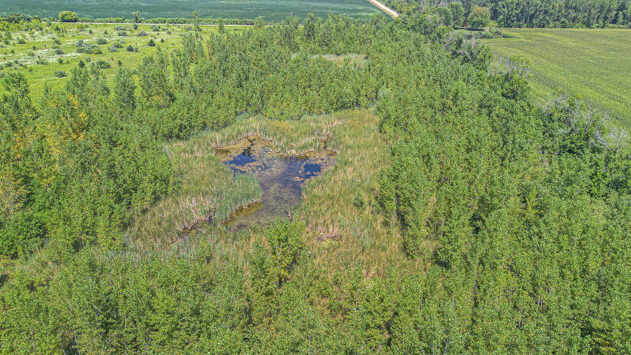 38 A Maloney Road Pinconning, MI 48650 - Photo 9 of 27 9