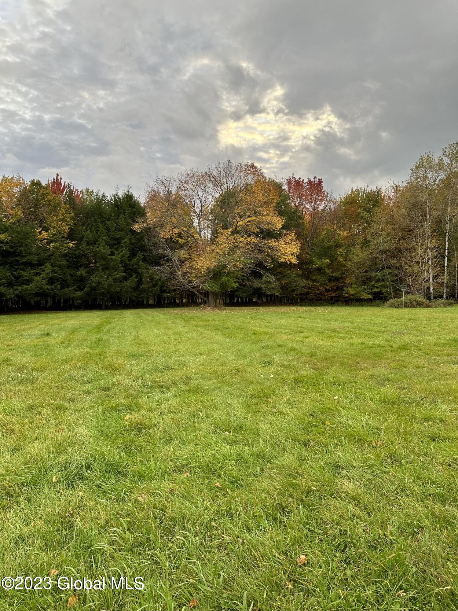 597 Guinea Road Middleburgh, NY 12122 - Photo 19 of 22 IMG_1429