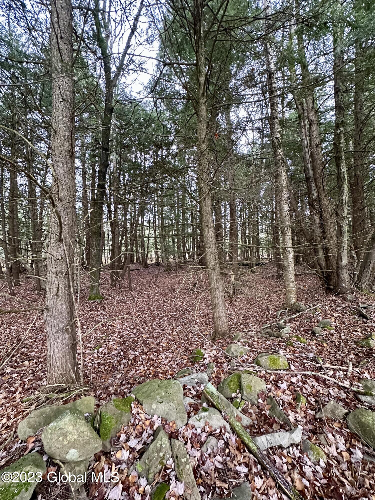 597 Guinea Road Middleburgh, NY 12122 - Photo 20 of 22 IMG_1575