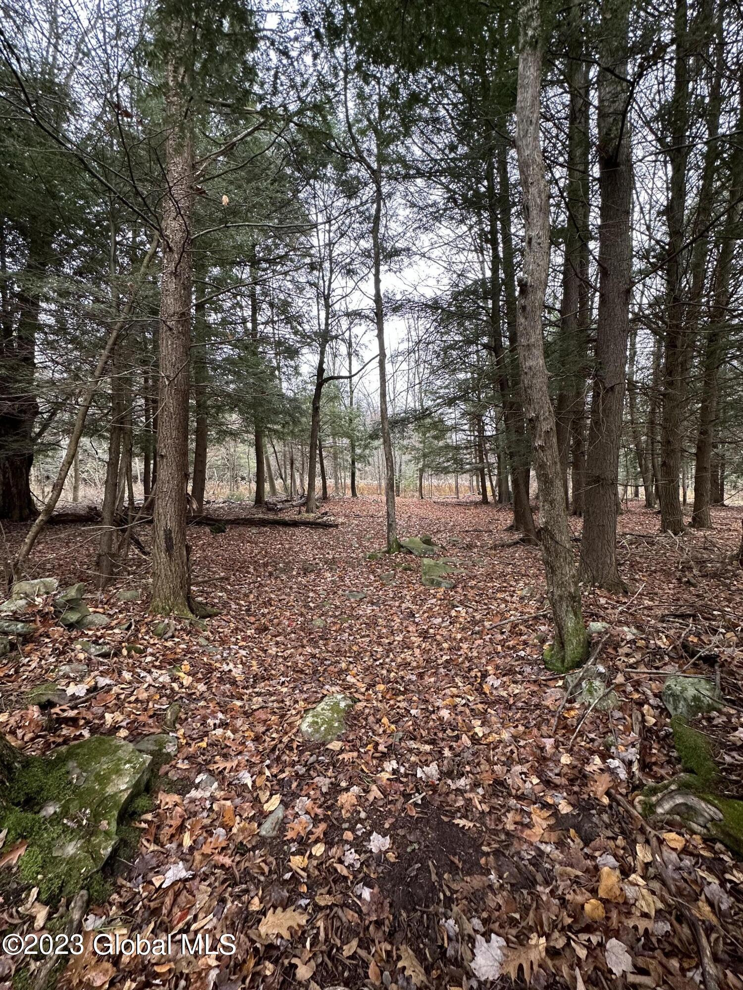 597 Guinea Road Middleburgh, NY 12122 - Photo 21 of 22 IMG_1576