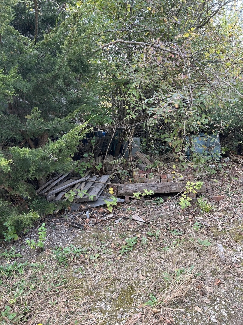 1901 1st Avenue Mendota, IL 61342 - Photo 12 of 14 a view of a forest with a tree