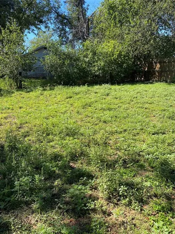 a view of a garden with a tree