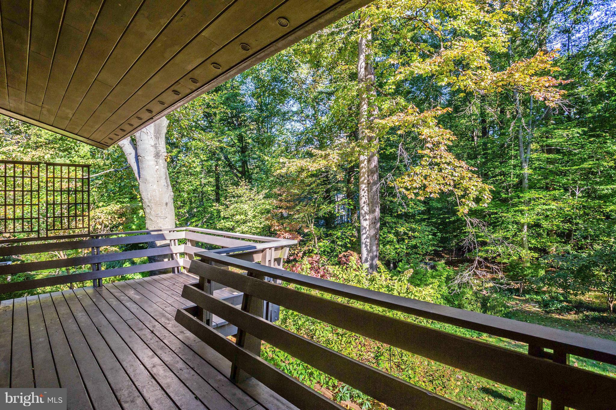 6503 Cardigan Road Bethesda, MD 20817 - Photo 22 of 30 Covered deck, off living room