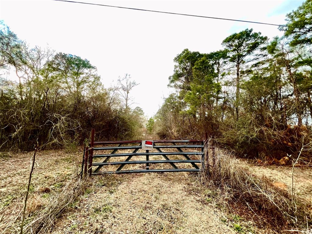 0 Pine Street Heflin, LA 71039 - Photo 11 of 14 Gated entrance