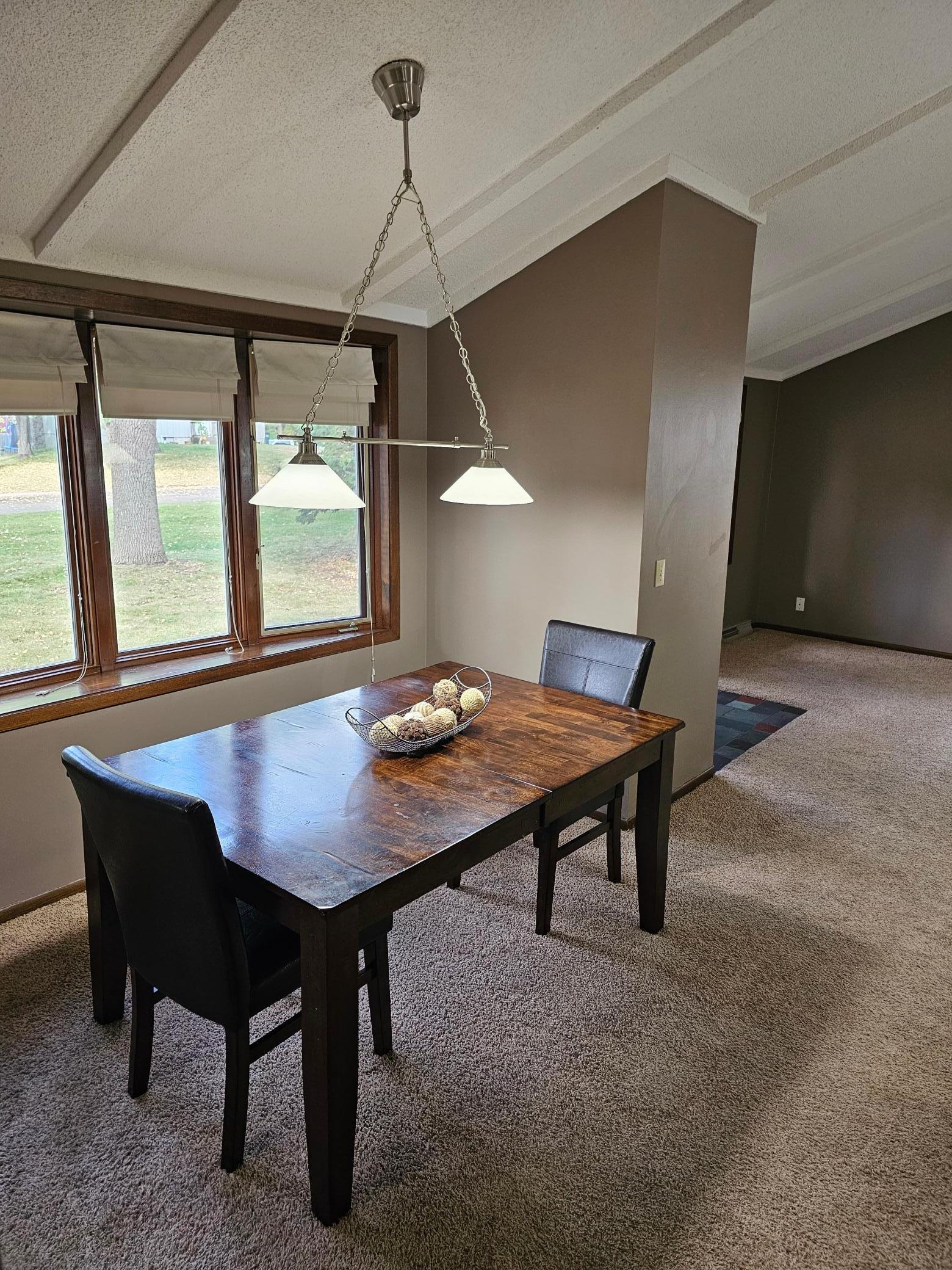 403 Miller Street Spicer, MN 56288 - Photo 4 of 25