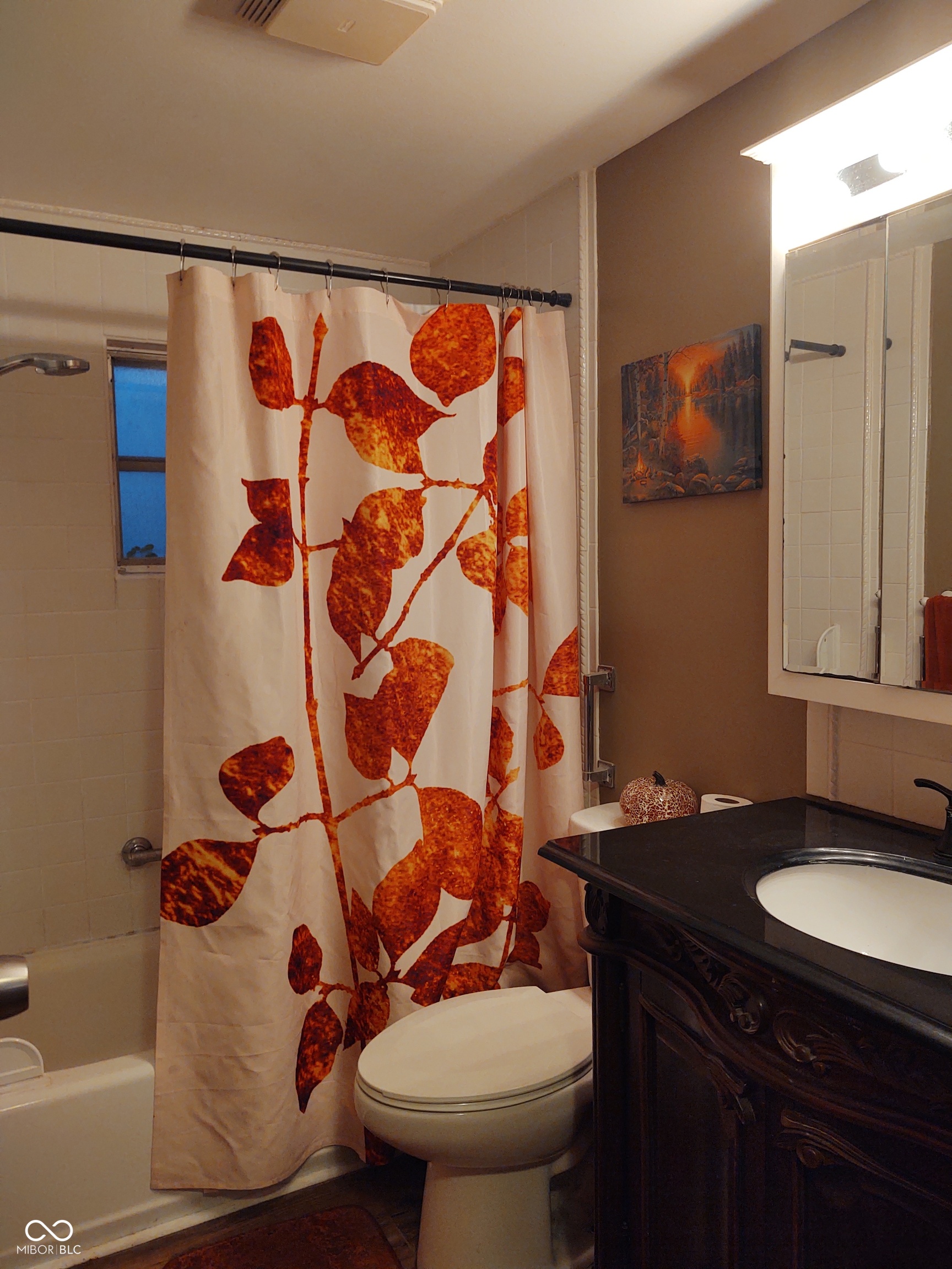 8041 South Peoga Road Trafalgar, IN 46181 - Photo 34 of 59 Gallery Image 34