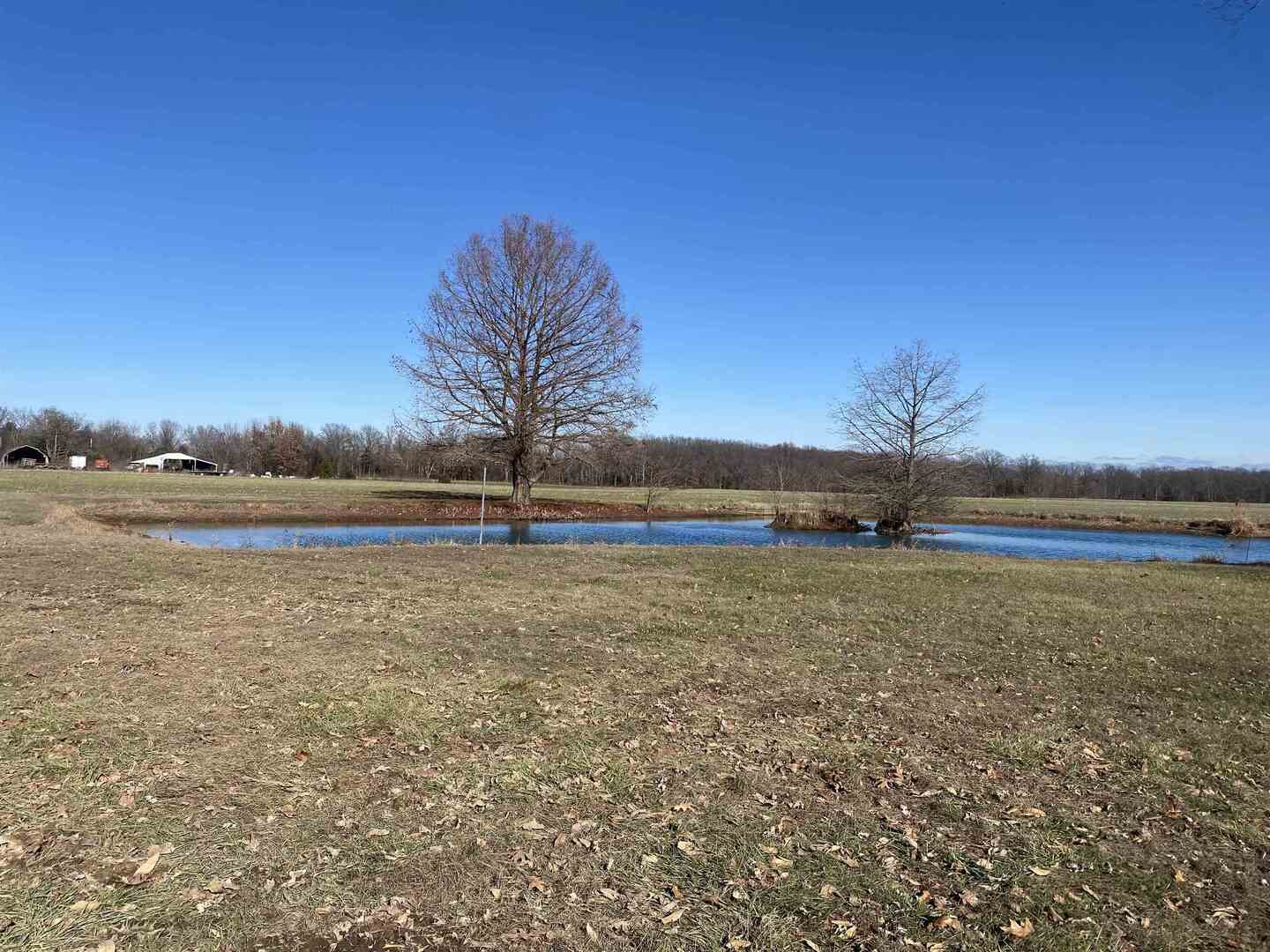 7038 Robin Road Du Bois, IL 62831 - Photo 21 of 29 a view of a field with trees in background