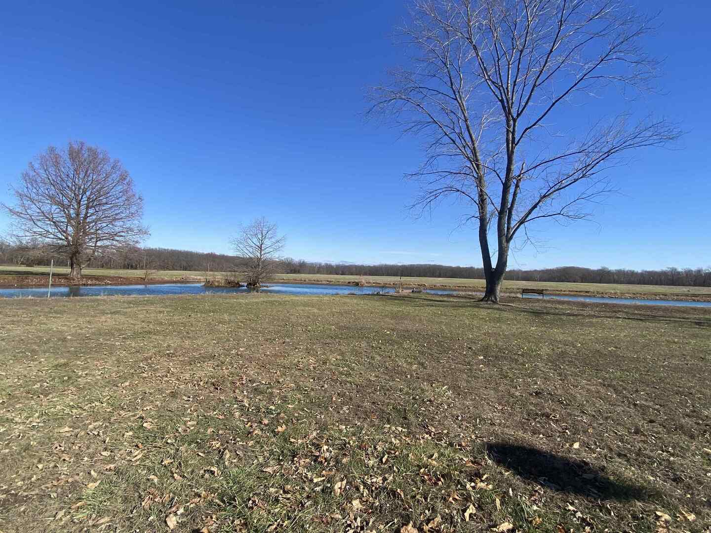 7038 Robin Road Du Bois, IL 62831 - Photo 22 of 29