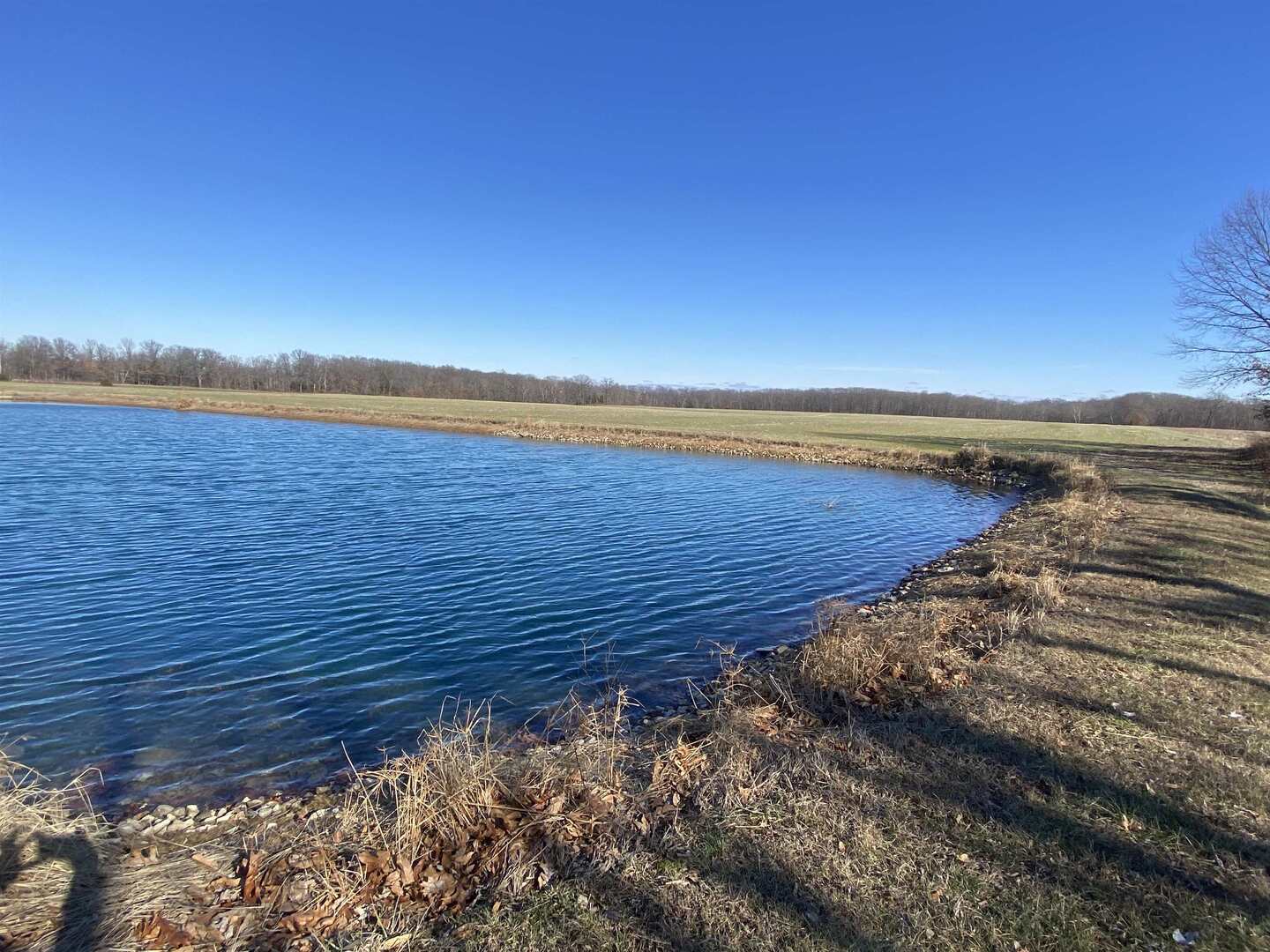 7038 Robin Road Du Bois, IL 62831 - Photo 25 of 29 a view of an ocean