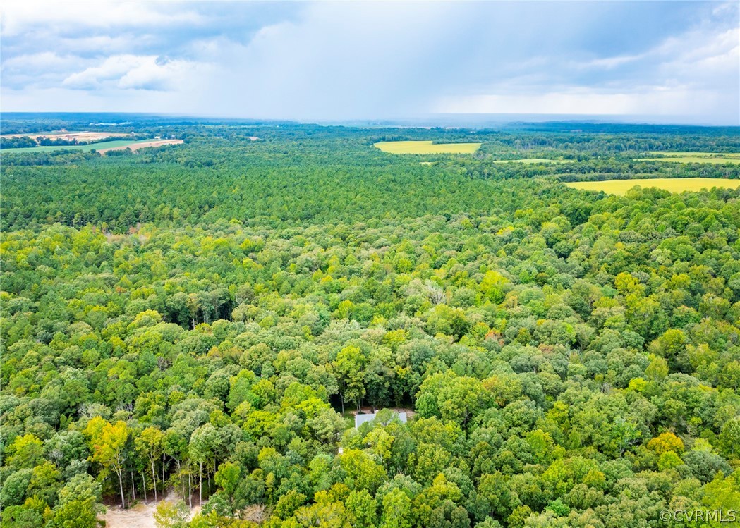 529 Brandywine Road Manquin, VA 23106 - Photo 48 of 50 a view of a big yard with plants and a bench