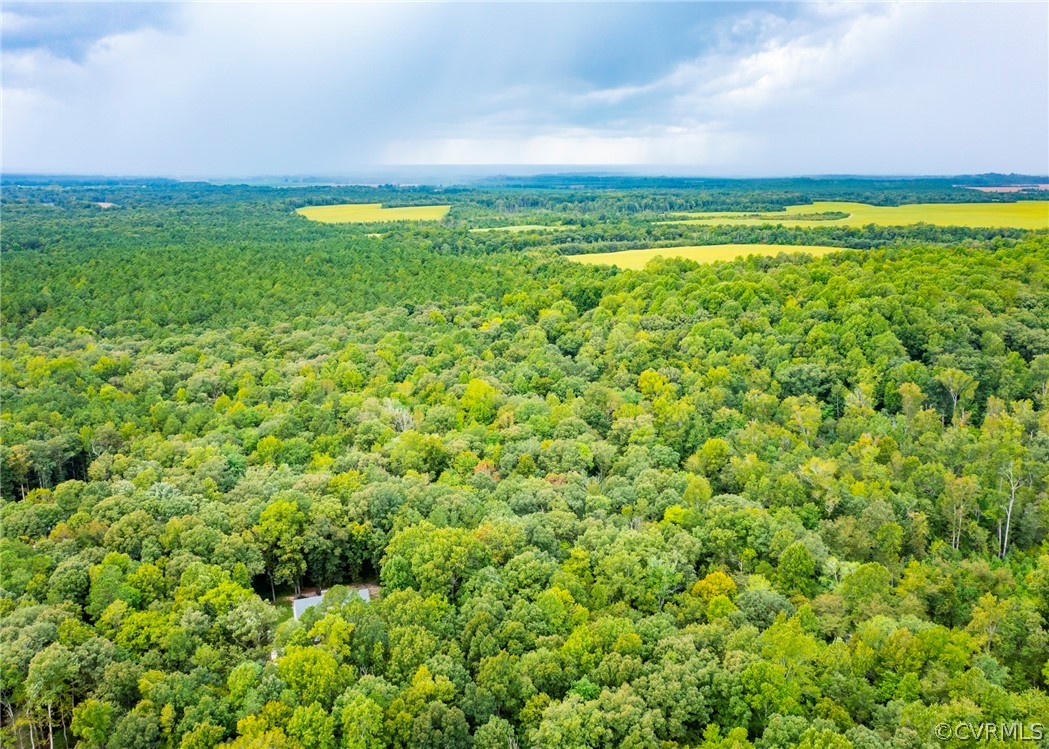529 Brandywine Road Manquin, VA 23106 - Photo 49 of 50 a view of an ocean and a yard