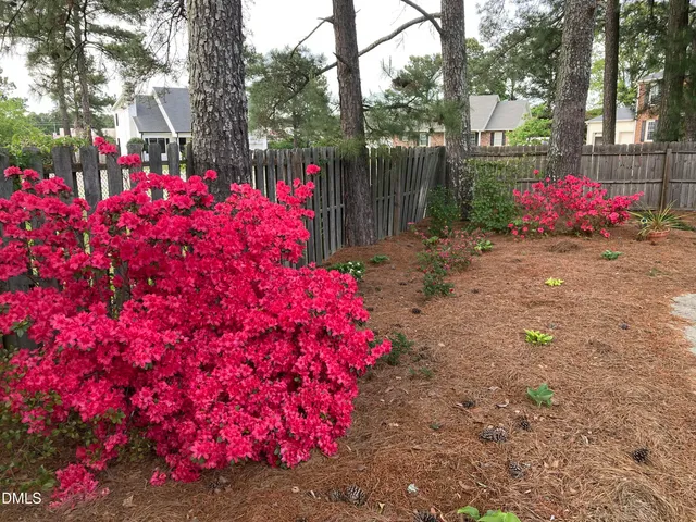 a view of yard with tree and wooden fence