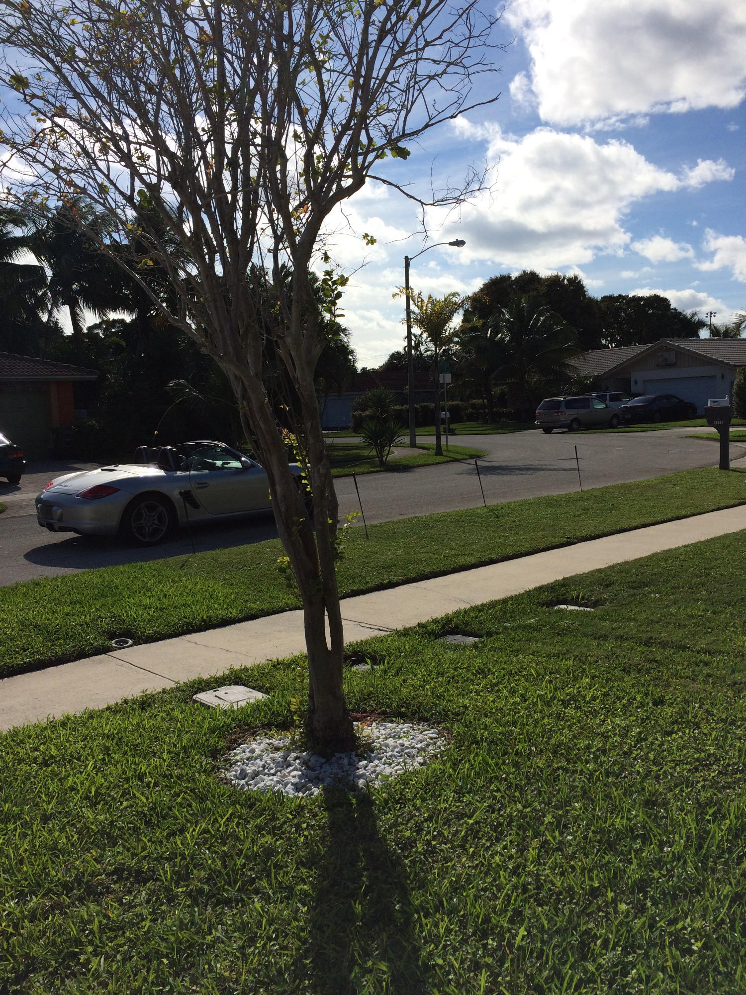 1091 Northwest 10th Street Boca Raton, FL 33486 - Photo 57 of 86 January 17 027