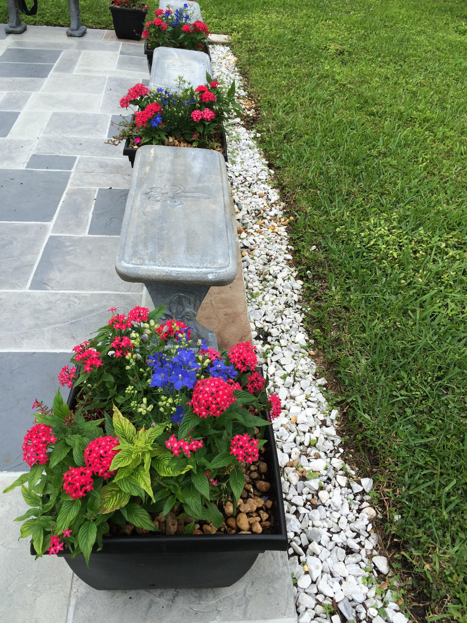 1091 Northwest 10th Street Boca Raton, FL 33486 - Photo 59 of 86 Boca trees 2015 024