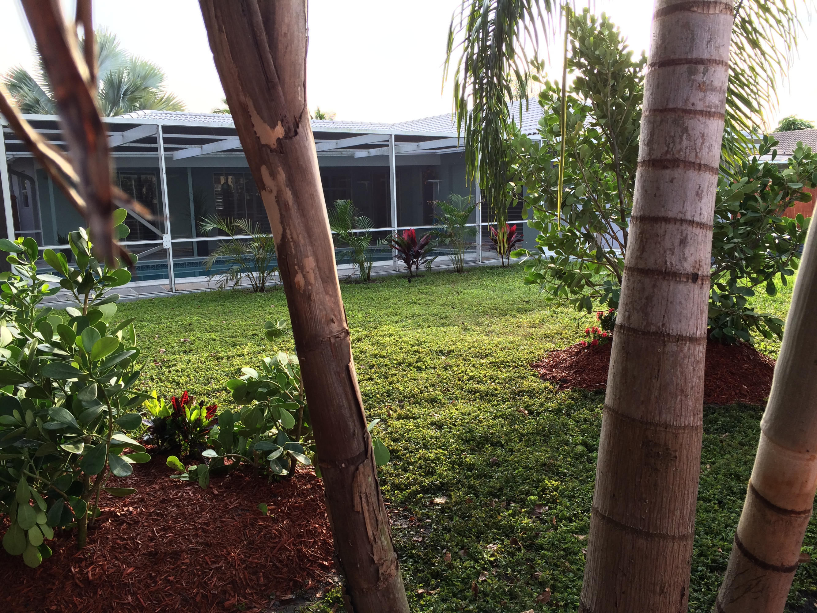 1091 Northwest 10th Street Boca Raton, FL 33486 - Photo 61 of 86 Boca trees 2015 050