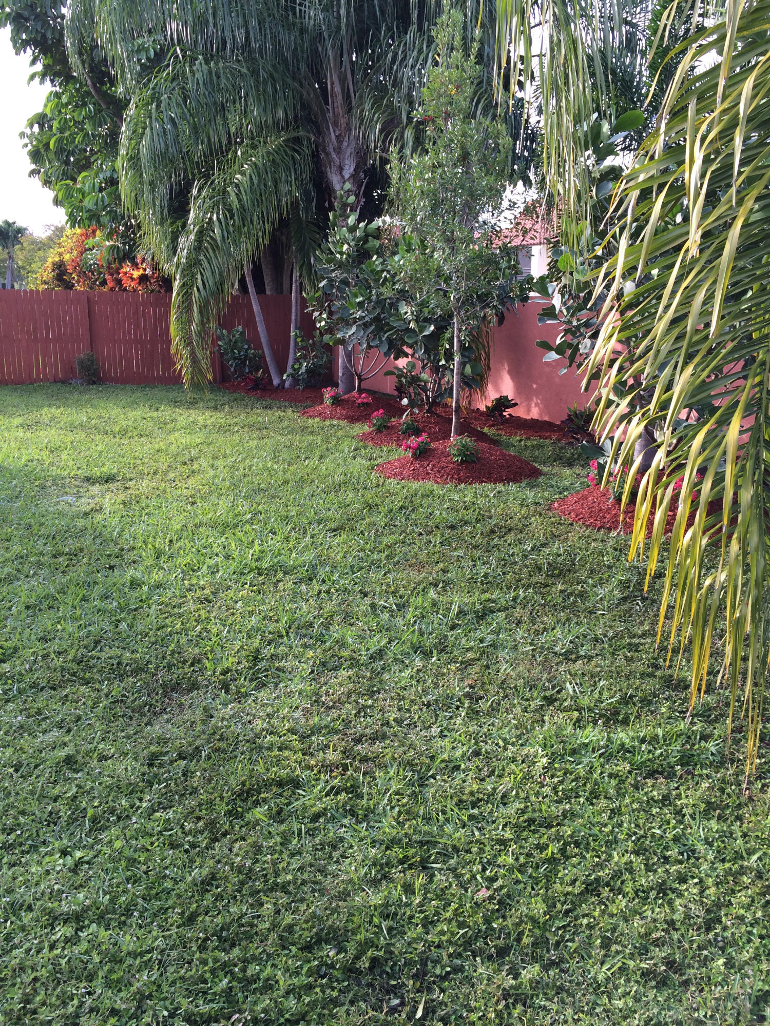1091 Northwest 10th Street Boca Raton, FL 33486 - Photo 62 of 86 Boca trees 2015 053