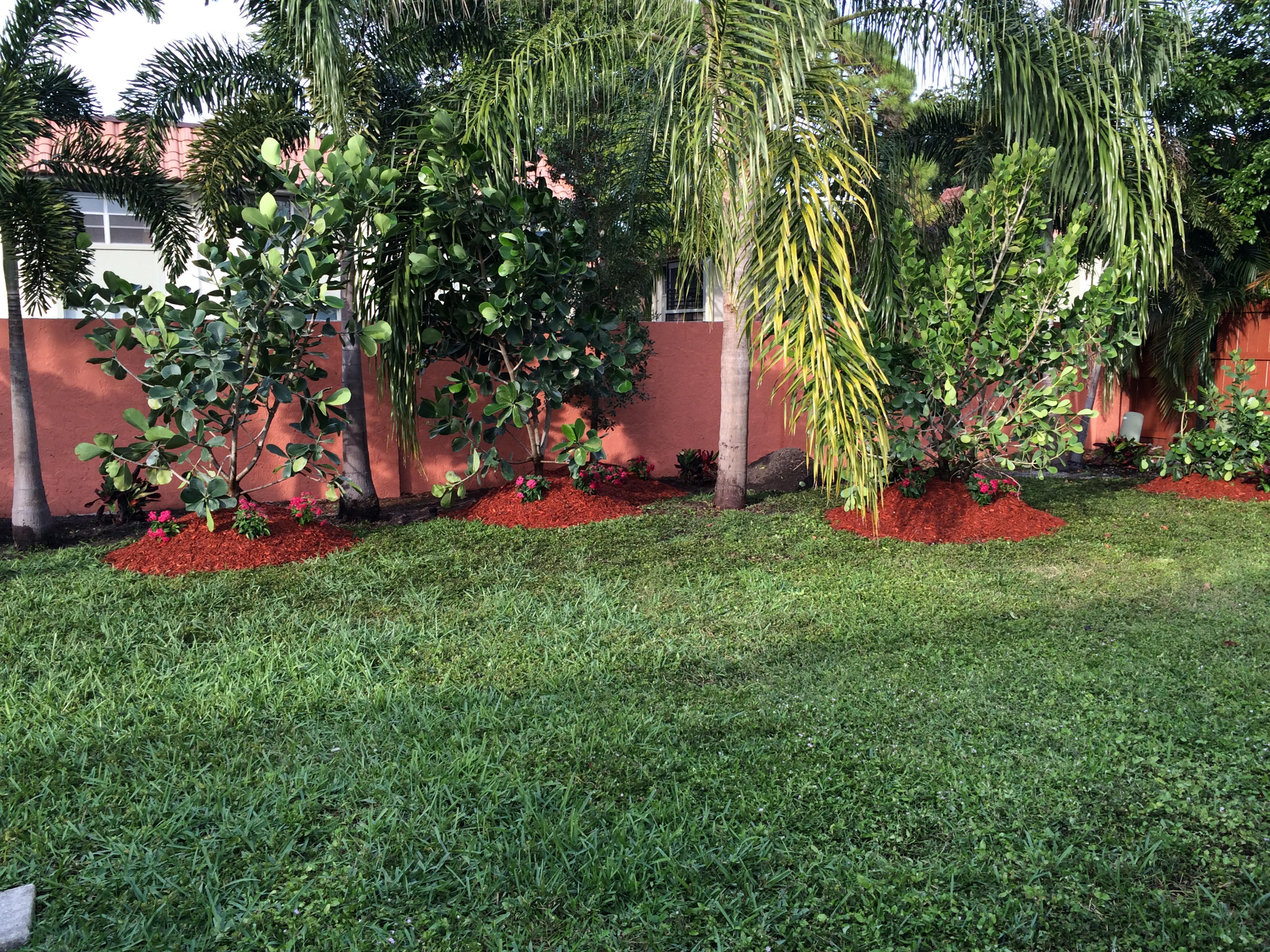 1091 Northwest 10th Street Boca Raton, FL 33486 - Photo 63 of 86 Boca trees 2015 056